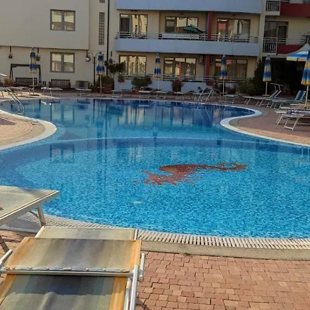 Apartment Plaza - - Sunny